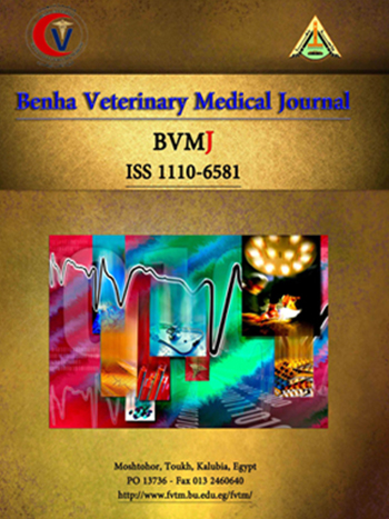 BVMJ Journal