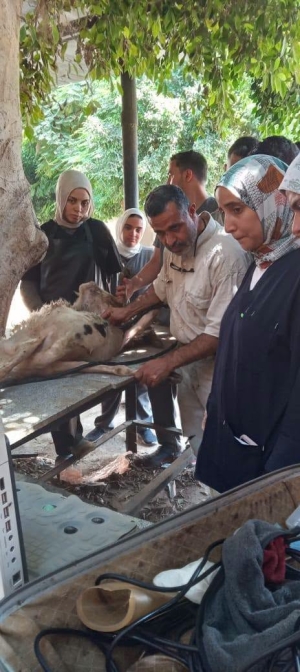 المستشفى البيطري التعليمي في أسبوع