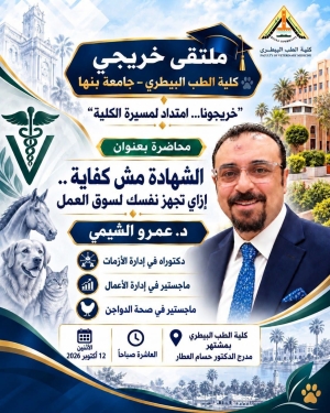 الشهادة مش كفاية!