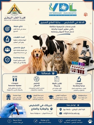 الدقة فى التشخيص بداية العلاج