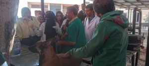 **أسبوع جديد من العطاء.. المستشفى البيطري التعليمي بجامعة بنها تواصل تقديم خدماتها العلاجية والتشخيصية**