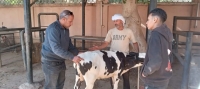 **أسبوع جديد من العطاء.. المستشفى البيطري التعليمي بجامعة بنها يواصل رسالته في خدمة المجتمع وحماية الثروة الحيوانية**
