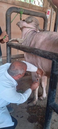نشاط المستشفى البيطري التعليمي بكلية الطب البيطري – جامعة بنها خلال أسبوع